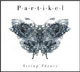 Partikel String Theory